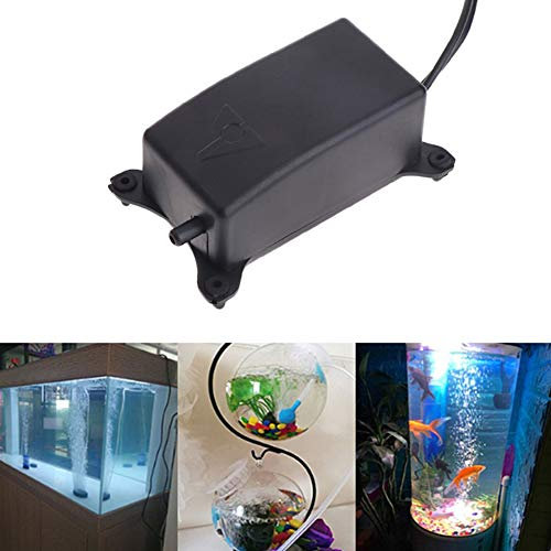 Comtervi Pompe à oxygène pour aquarium, pompe à air super silencieuse 2 W Pompe à oxygène puissante 1,2 L/M Convient pour les piscines et les aquariums Nano