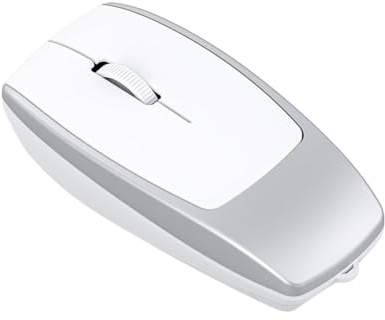 Garsent Wireless Maus, M109 Small BT Maus Wireless mit Anti -Lost -Seil und Vielseitigem TF -Kartenleser, 2 TB Expandable, Ergonomische Computermaus für Laptop, PC, Computer (Weltraumsilber)