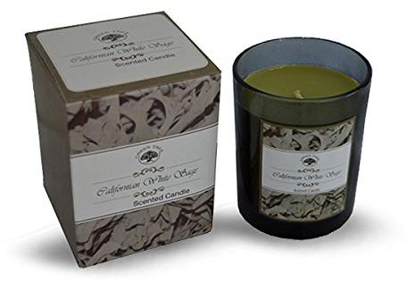 Kerze Green Tree weißer Salbei