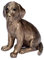 Brillibrum Design Labrador Skulptur aus Kunstharz Bronze Figur Labrador Welpe Handmade Moderne Hunde Deko Puppy Unikat