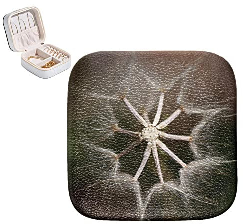 RODAILYCAY Tragbare Schmuck-Aufbewahrungsbox, Pusteblume Top View Mini-Schmuckkoffer für Ringe, Armreif, Halskette, Ohrringe