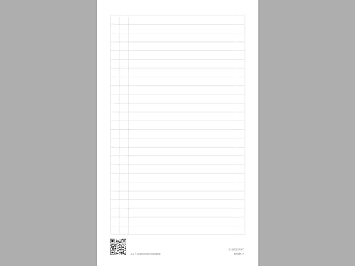 A6 Memokarte, 12er Pack, für das revolutionäre X47-Notizbuch mit auswechselbaren Heften.