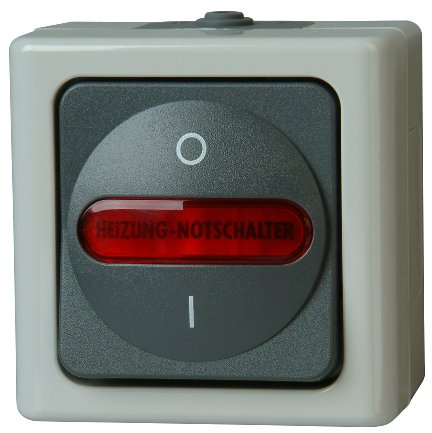 Kopp BLUE ELECTRIC 562356009 - Heizungshauptschalter, Farbe: grau