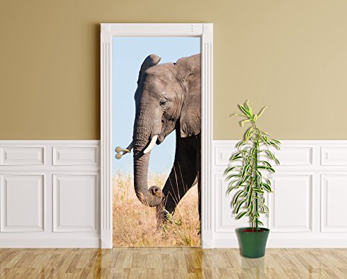 Bilderdepot24 Türtapete Elefant II 90 x 200 cm - einteilig Türaufkleber Türfolie Türposter - Tier Afrika Elefantenbulle grau Tierbild