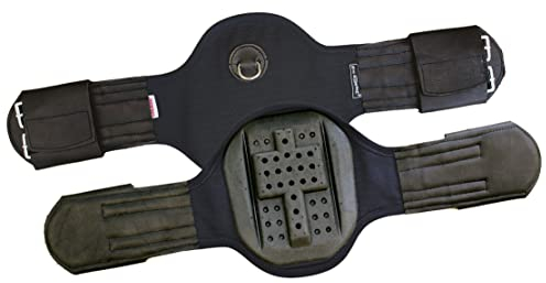 Euroriding Kurzgurt Privilège Equitation Dressage, Farbe: braun, Große: 65