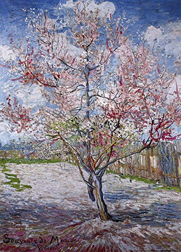 Close Up Souvenir de Mauve Poster Vincent Van Gogh (50cm x 70cm) + Original tesa Powerstrips® (1 Pack/20 STK.)