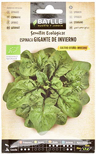 Semillas Batlle Espinaca Gigante de Invierno - ECO