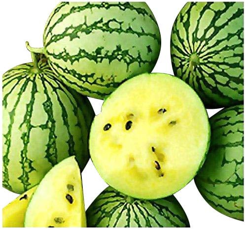Gelbe Ananas-Melone -Wassermelone- 10 Samen (Gelbfleischig und Zuckersüß)