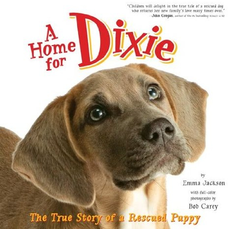 A Home for Dixie: The True Story of a Rescued Puppy – An Uplifting Photo Book on Dog Adoption for Children (Ages 4-8) (English Edition)