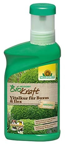 Neudorff BioKraft Vitalkur für Buxus & Ilex – Konzentrat vitalisiert geschwächte Buchsbäume durch Schädlinge, Krankheiten, Frost und Trockenheit, 300 ml