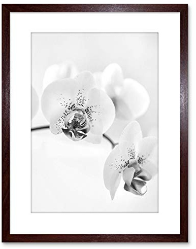 Wee Blue Coo Photo Nature Plant Orchid Flower Black White Framed Wall Art Print