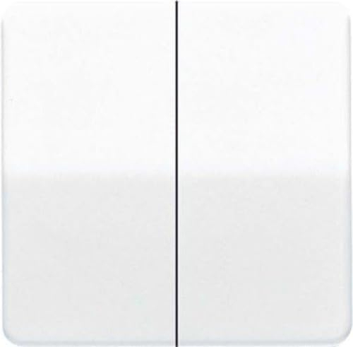 Jung Serienwippe CD595GB