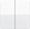 Jung Serienwippe CD595GB