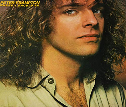 WHERE I SHOULD BE LP (VINYL ALBUM) UK A&M 1979