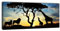 wandmotiv24 Leinwandbild Panorama Nr. 427 Afrika Schatten 100x40cm, Keilrahmenbild, Bild auf Leinwand, Afrika, Giraffe, Elefant