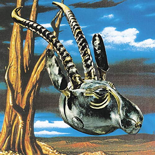 Jagjaguwar 52092
