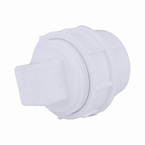 CHARLOTTE PIPE 1 1/2 DWV FTG C/O ADAPTER W/CO PLUG DWV (DRAIN, WASTE AND VENT) (1 Unit Piece)