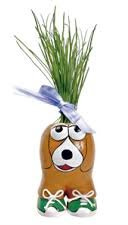 Munakuppi Gras Friseur Braun Hund