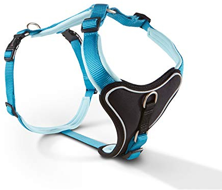Wolters | Geschirr Professional Comfort in Aqua/Azur | Brustumfang 80 - 95 cm