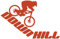 Samunshi® Autoaufkleber Downhill Mountain Bike Aufkleber 40 x 26cm kupfermetalleffekt
