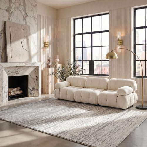 SAFAVIEH Area Rug 8x10 - Adirondack Collection - Large - Ivory & Silver, Modern Ombre Design, Non Shedding & Easy to Clean, Ideal for Living Room, Bedroom, Office, Dining Space (ADR113B)