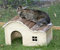 Kerbl Maison pour Rongeurs avec Toit Galbé Nature 40x25x25 cm