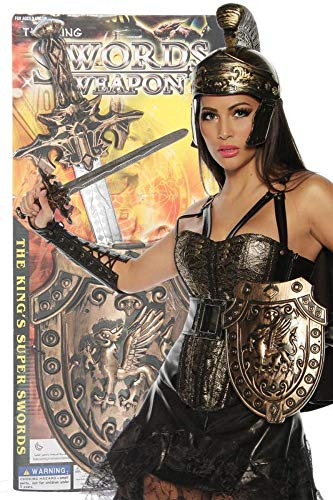 Schwert & Schild passend zum Gladiator / Römer Kostüm im Shop