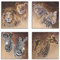 ARTLAND Wanddeko Leinwand Bilder Set 4tlg. je 40x40 cm Quadratisch Wandbilder Tiermotive Afrika Löwen Leoparden Zebra Giraffen S7EZ