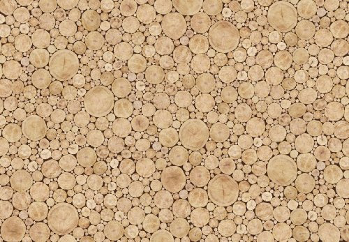 Eurographics DW-DT3066 Deco Wall Fototapete Log Wall Collage 254 x 366 cm