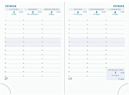 Exacompta 15840 Terminkalender-Einlage