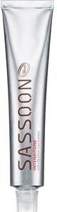 Sassoon Chromatology Intensitone 60ml
