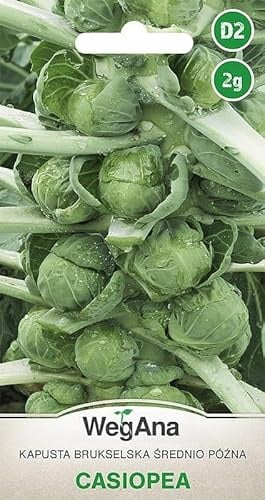 WegAna Rosenkohl Casiopea Samen 2g Kohl Saatgut, Robuste Gemüsesamen, Gemüse Samen, Samen Anzucht