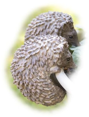 Darthome Set Of 2 Hedgehog Pot Hangers 5x8x7cm Resin Realistic Woodland Animal Planter Dceoration