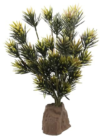 Lucky Reptile Podocarpus