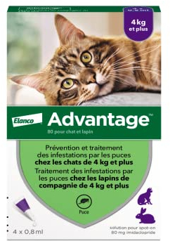 Advantage Chat & Lapin de plus de 4 kg – Pipettes anti puces chat pour prévention des infestations – Traitement anti puces avec protection de 3 à 4 semaines – 4 x 0,8 ml