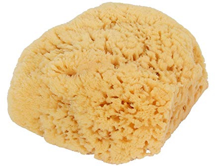 Bass Brushes Large Natural Bath Sponge Shower, 1 EA