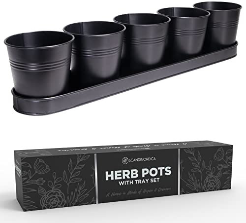 SCANDINORDICA Lot de 5 pots à herbes aromatiques avec trous de drainage et plateau, pour rebord de fenêtre, pour intérieur et extérieur, pour rebord de fenêtre, jardin d'herbes aromatiques