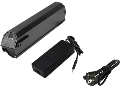 PowerSmart 48V 17,5Ah Akku für NCM Moscow, Aspen, Aspen +, mit Ladegerät