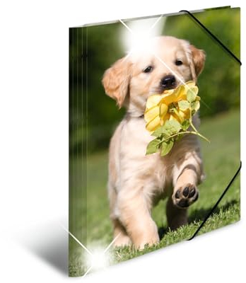 HERMA Sammelmappen A3 Hunde Set, 3 Stück, Kinder Eckspanner-Mappen aus Kunststoff mit Tier Motiv, Hochglanz-Optik, Gummizug, Innenklappen und Innendruck für Jungen und Mädchen