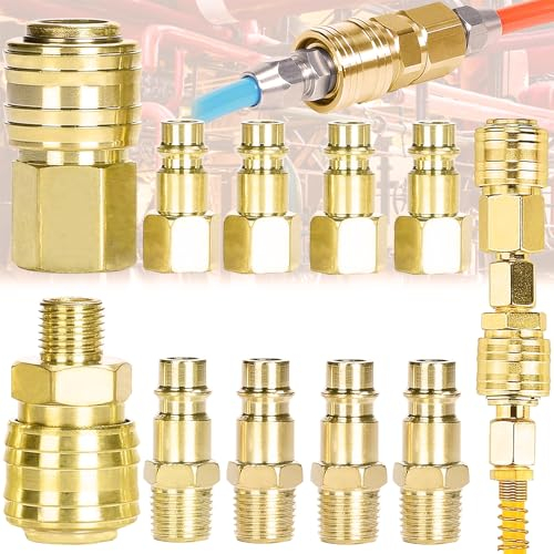 Begpoee 10 Pezzi 1/4 BSP Accoppiamento Rapido, Attacchi Connettore Rapidi Europei, Raccordo Giunti Tubo Aria, Connettori Linea Aria, 1/4BSP Raccordi Aria Compressa, Raccordi Rapidi Aria Compressa
