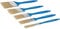 Silverline Disposable Paint Brush Set 5pce (314733)