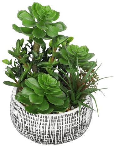 Villa Como 25,4 cm große Sukkulenten in Keramiktöpfen, künstliches Sukkulenten-Arrangement mit schwarzen Schalen, künstliche Sukkulenten für Zuhause, Badezimmer, Regal, Tisch, Innendekoration