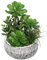 Villa Como 25,4 cm große Sukkulenten in Keramiktöpfen, künstliches Sukkulenten-Arrangement mit schwarzen Schalen, künstliche Sukkulenten für Zuhause, Badezimmer, Regal, Tisch, Innendekoration