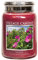Village Candle - Kerze, Duftkerze - Wild Rose - großes Glas - 626 g