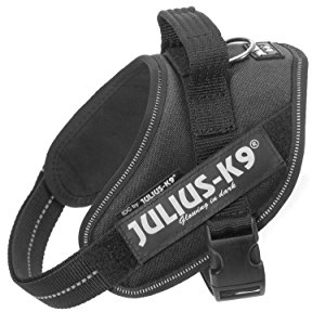 Julius K9 Hundegeschirr, Brustgeschirr reflektierend Hunde Geschirr mit personalisiertes Geschenk, benutzerdefinierter Klettsticker (XS/Mini-Mini, Schwarz)