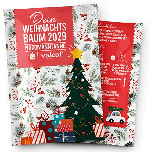 valeaf Weihnachtsbaum 2030 - Nordmanntanne Pflanzen Samen zum Weihnachtsbaum pflanzen ideal als Geschenk und Wichtelgeschenk