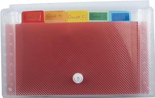 Exacompta 55498E Premium Kunststoff-Fächermappe Crystal 18 x 11 cm mit 6 farbigen Fächern mit dehnbarem Rücken und Druckknopfverschluss zur Aufbewahrung Ihrer Dokumente Ordnungsmappe transparent