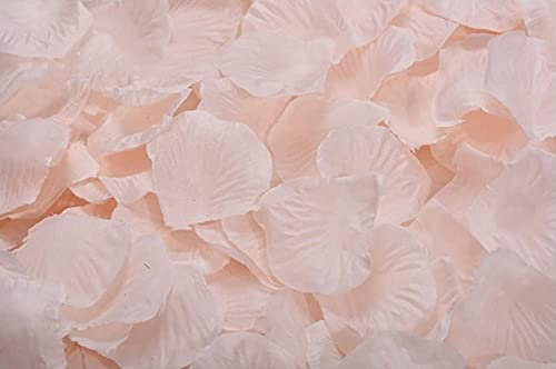 OcharzyAZB 1000pcs Silk Rose Petals Wedding Flower Decoration (Champagne)
