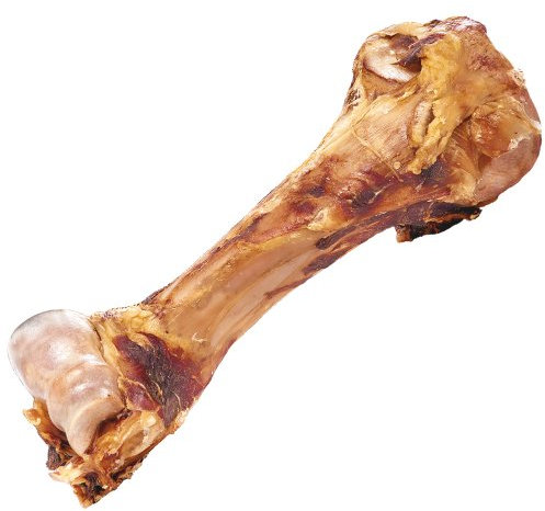 Schecker Hundeknochen - Dino Knochen vom Rind - naturbelassen - riesig - Bullen Oberschenkelknochen - 2 Stück bis zu 2 Kilo je Stück