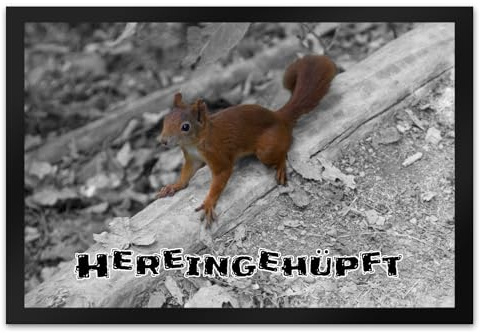 trendaffe - Hereingehüpft Fussmatte mit Eichhörnchen Wald Schuhabstreifer mit niedlichem Nager in grau und orange-braun